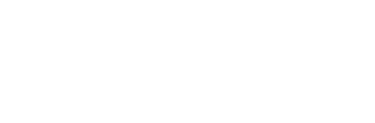 Aldi Aldi