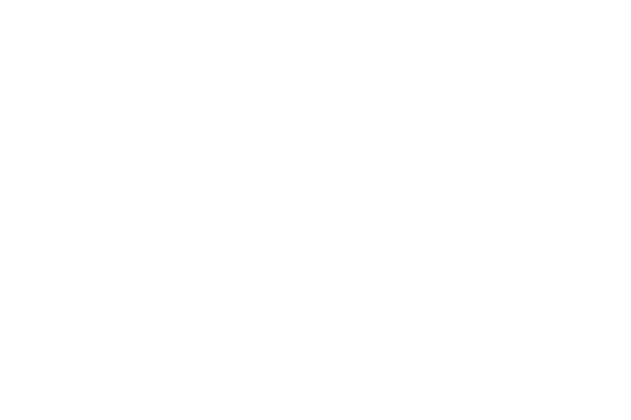 TotalEnergies TotalEnergies